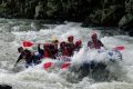 DSCF0267